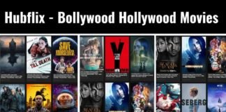 Hubflix 2022 Bollywood Hollywood Movies In Hindi