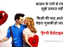 Valentine Day Shayari in Hindi For Girlfriend And Boyfriend