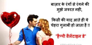 Valentine Day Shayari in Hindi For Girlfriend And Boyfriend